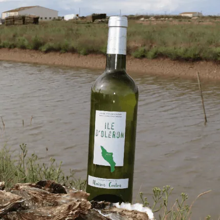 Vin Blanc d’Oléron – Vignoble Coulon
