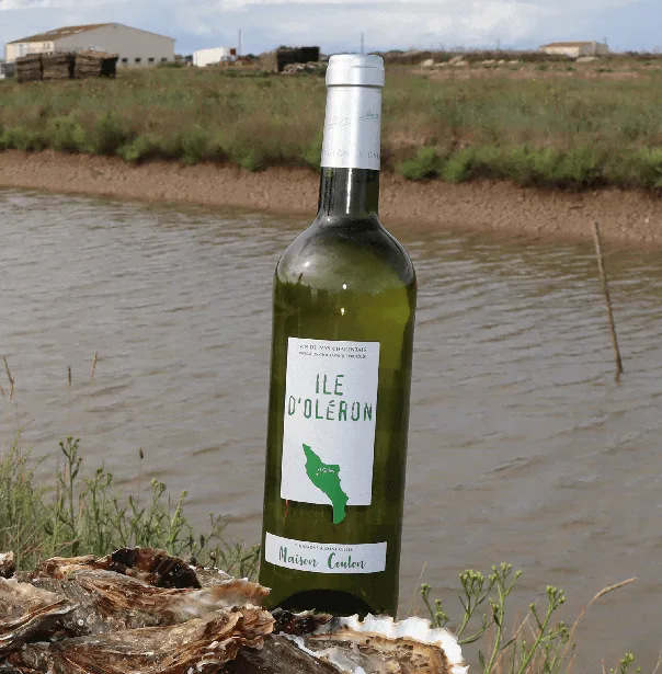 Vin Blanc d'Oléron - maison Coulon
